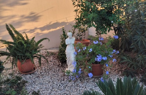 Raches Apartment | Cozy studio apartment in the middle of a large garden. Have dogs.
