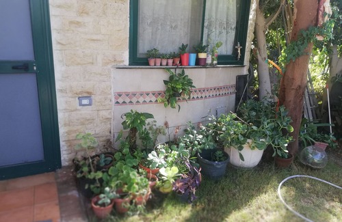 Ain Sokhna Apartment | Cozy studio in Ain Sukhnwell furnished