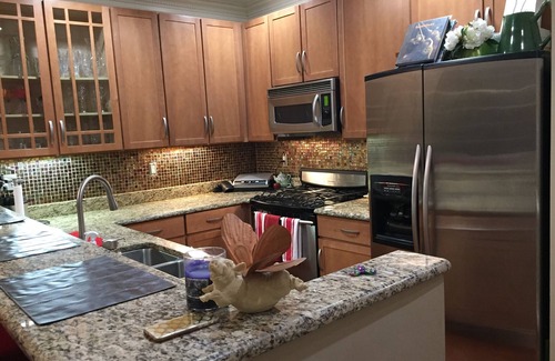 Cardozo Condo | Cozy U St. Condo-Steps to U & 14