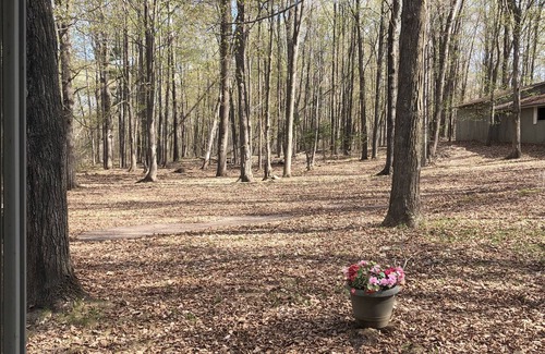 Lakewood House | Cozy vacation home nestled in a quiet wooded area. Near town but private
