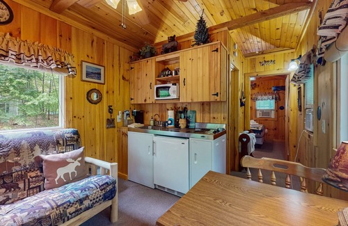 Naples Cabin | Cozy wooded cabin with lake access, firepit & kitchenette
