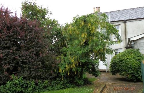 Craigavon House | Crannagael House