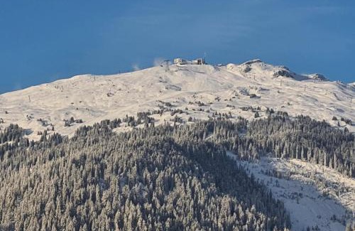 Flims Apartment | Crap da Flem - 3.5 Zimmer Ferienwohnung am Sonnenhang von Flims