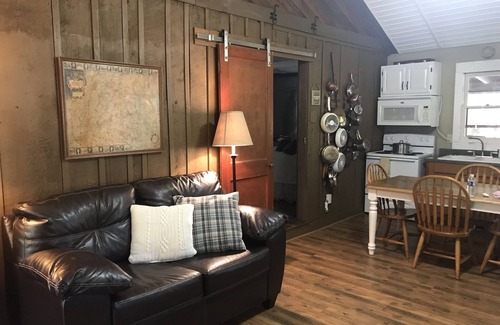 Tyro Cabin | Creek Front Property! Spicewood Cabin Near Wintergreen and Crabtree Falls