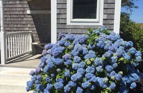 New Shoreham House | CRESCENT BEACH COTTAGE - Just steps to the private path to the BEACH