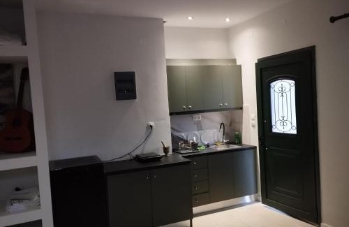 Choudetsi Apartment | Cretan lyre