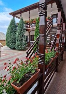 Sapinta House | Cris & Mona