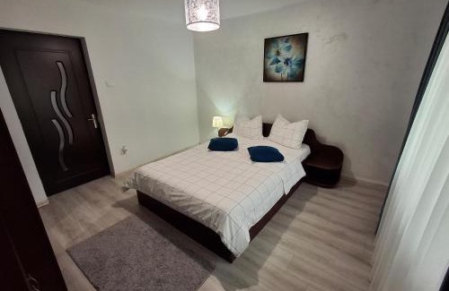 Emanoil Gojdu Apartment | Criss Apartament Central