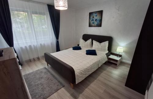 Emanoil Gojdu Apartment | Criss Apartament Central