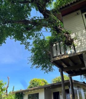 Srisa Chorakhe Noi House | Croc Camp