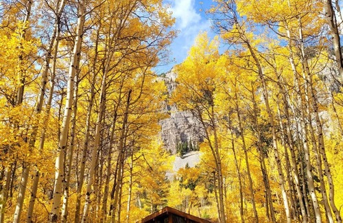 Crowsnest Pass Cabin | Crowsnest Rover Chalet - Grizzly