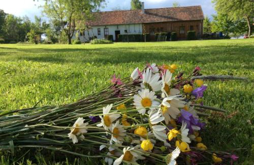 Szalafo House | Cseri Porta