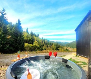 Iacobeni Villa | Cucu Zen Cazare Cabane Pensiuni Bucovina