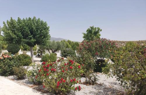 La Alqueria House | Cuevas Cañada Honda