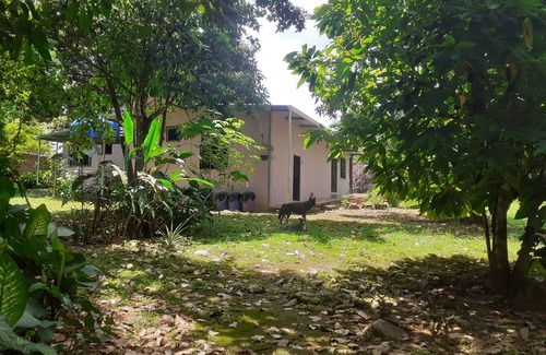 Dolega Apartment | Cute 1-Bdrm Apt in Dolega Centro. Great Central Location w/a Lovely Stream.