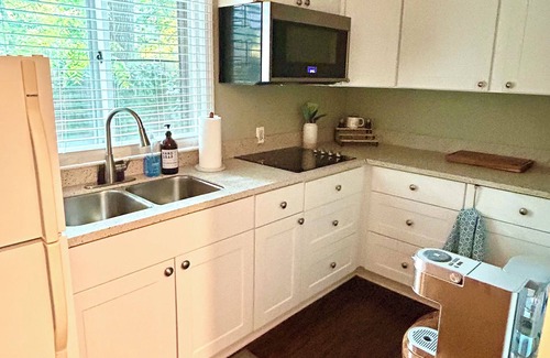 Water Hill Apartment | Cute Retreat in wonderful Ann Arbor, walkable to Downtown