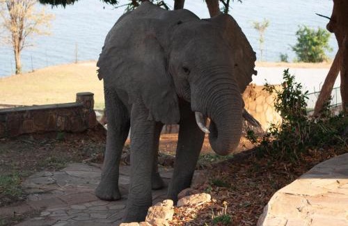 Kariba Cabin | Cutty Sark Lodge