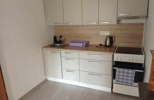Strizovice Apartment | Cyklostatek Magda