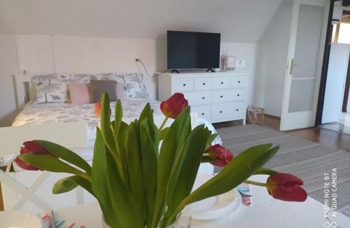 Balatonszarszo Apartment | Dóra Apartman