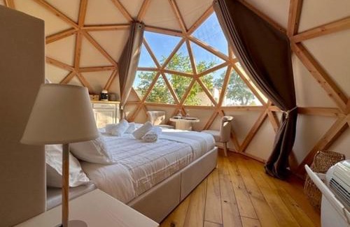 Catonvielle Other | Dôme Pathome
