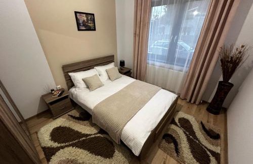 Satu Mare Apartment | D&M APARTMENTS 1