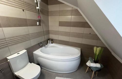 Satu Mare Apartment | D&M APARTMENTS 2