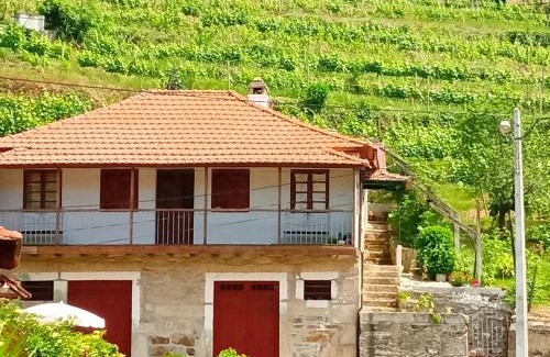 Lamego House | D. Maria São Pedro de Balsemão