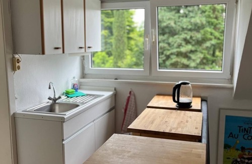 Plittersdorf Apartment | Dachgeschosswohnung im Villenviertel Nähe Rhein
