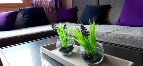 Obertraun Apartment | Dachstein Adventure