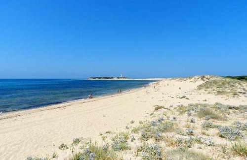 Los Canos de Meca Apartment | DADA CAÑOS