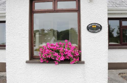 Grange House | Daffodil Cottage