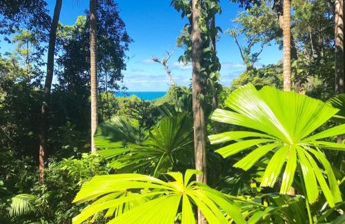 Cow Bay House | Daintree Magic Holiday House