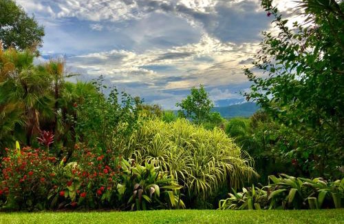 Forest Creek Bed & Breakfast | Daintree Manor B&B