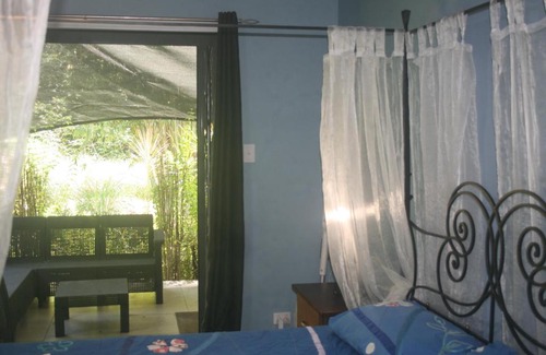 Cow Bay Cabin | Daintree Rainforest Accommodation