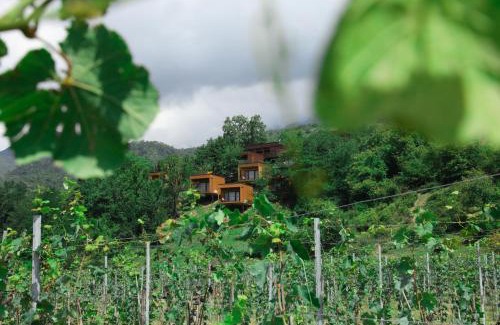 Ambrolauri House | Dakidula - დაკიდულა