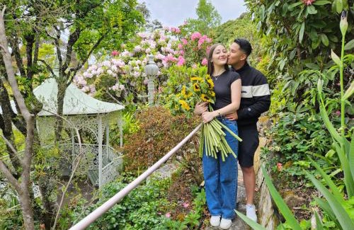 Katoomba Apartment | Dalia's Blue Mountain Retreat