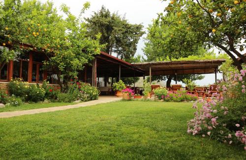 Dalyan City Center Cabin | Dalyan Pension