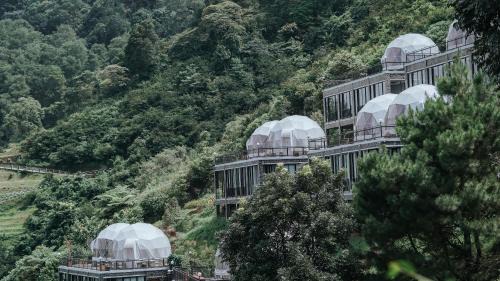 Cisarua Hotel | Damar Langit Resort