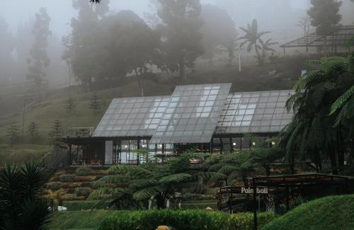 Cisarua Hotel | Damar Langit Resort