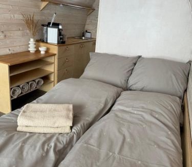 Novy Oldrichov Apartment | Dančí zátiší