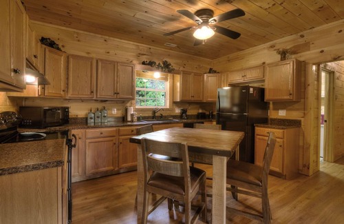 Gatlinburg - Pigeon Forge House | Dancing With The Bears - Boogey On Down!
