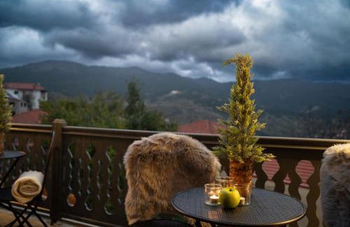 Metsovo Apartment | Dandy Villas Metsovo-Mezzo-Down Town-Up 5