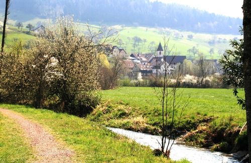 Freiamt Apartment | Dani's vacation apartment Experience nature & activity