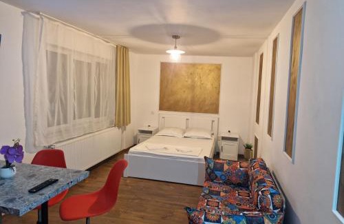 Tirgu Ocna Apartment | Dania&Petru Apartament's