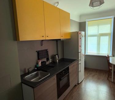 Grizinkalns Apartment | Daniels Visskaistākā vieta tev