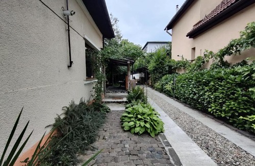 Baia Mare Villa | Dans house
