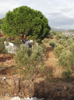 Bergama Hotel | Daphne Pansiyon