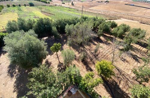 Sidi Allal El Bahraoui House | Dar Aisha, Guest House