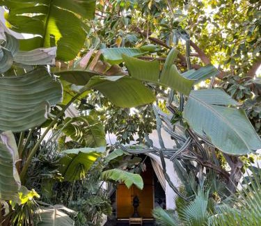 Nabeul House | Dar El Gaied