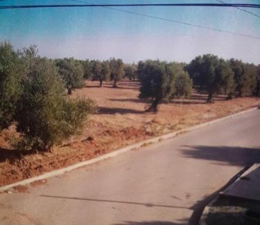 Sidi Rahhal House | dar hanane
